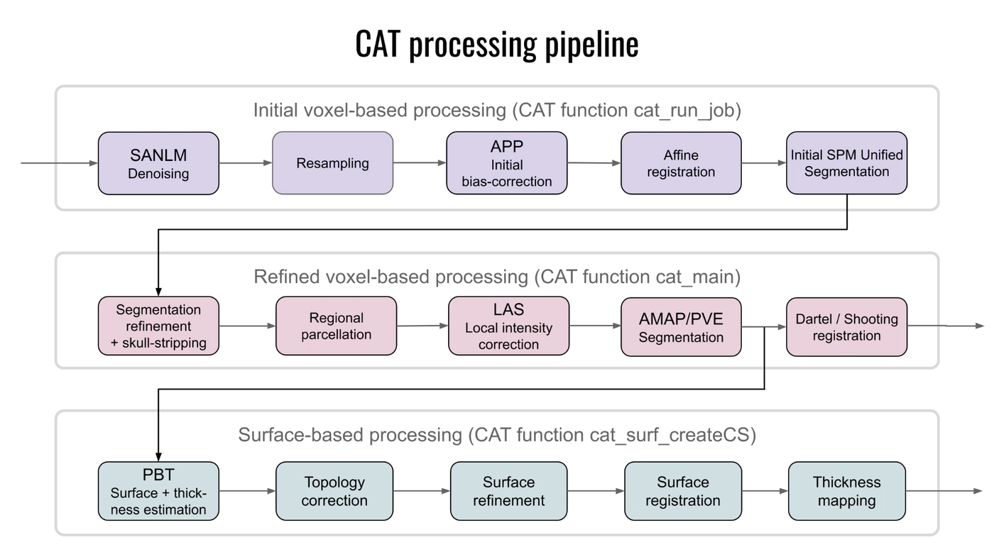 CAT processing pipeline: initial voxel-based processing, refined voxel-based processing, and surface-based processing