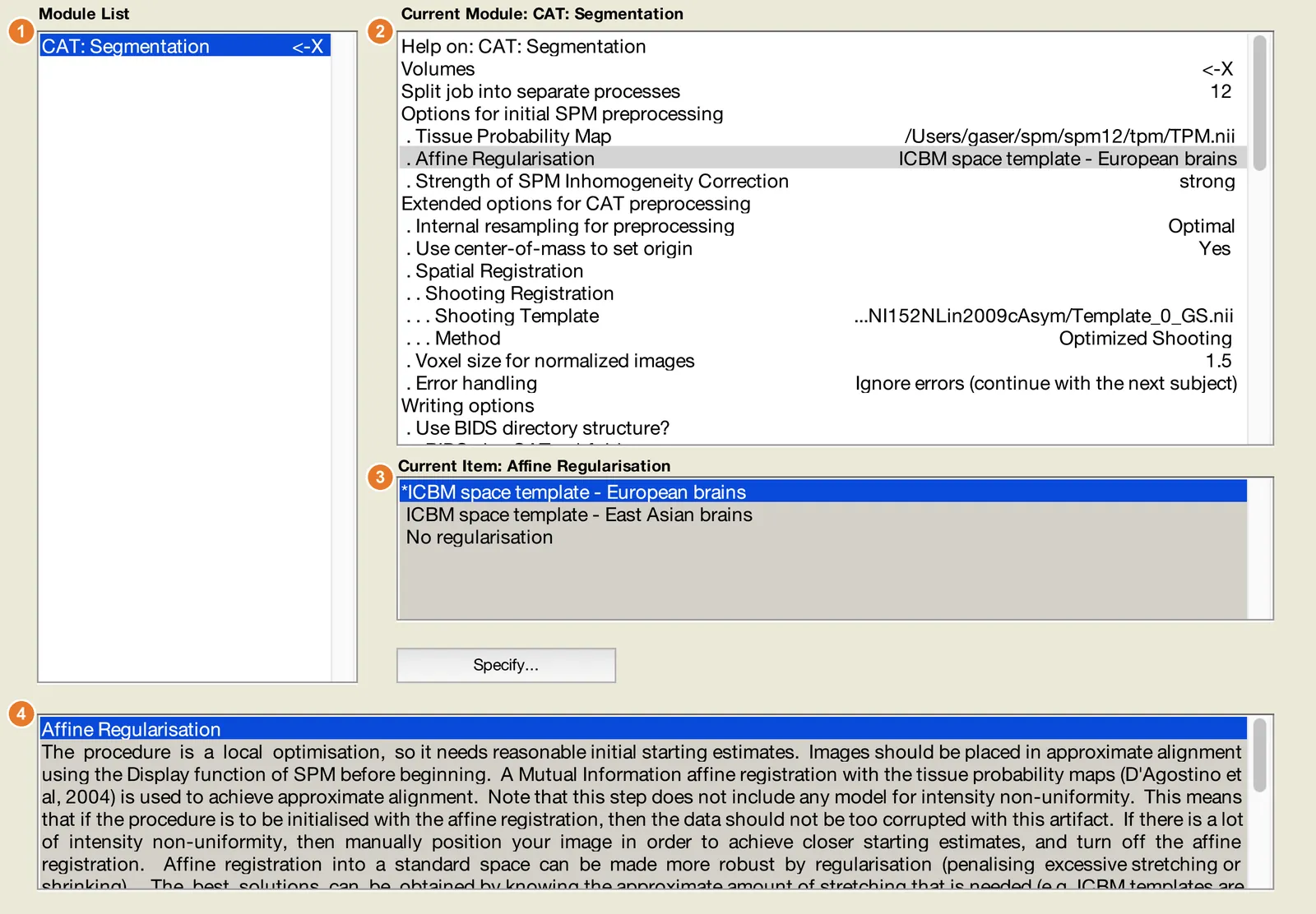 Batch Editor with the CAT segmentation module: module list, settings of the module, current item with the Specify button, and help text
