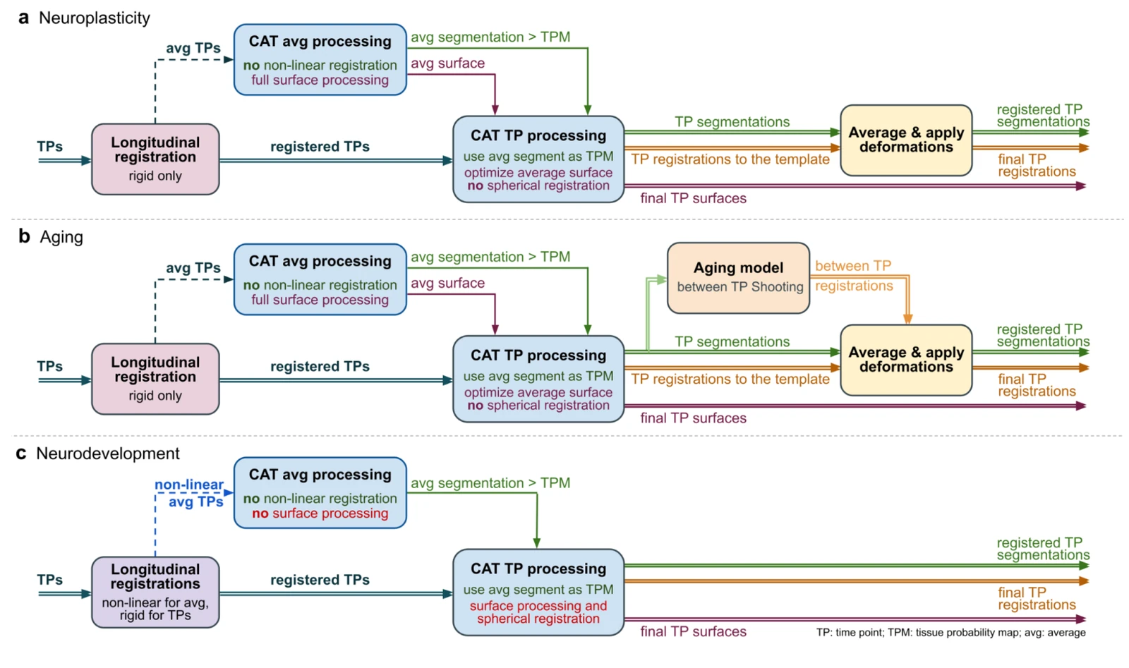 CAT's longitudinal processing workflows for (a) neuroplasticity, (b) ageing and (c) neurodevelopment
