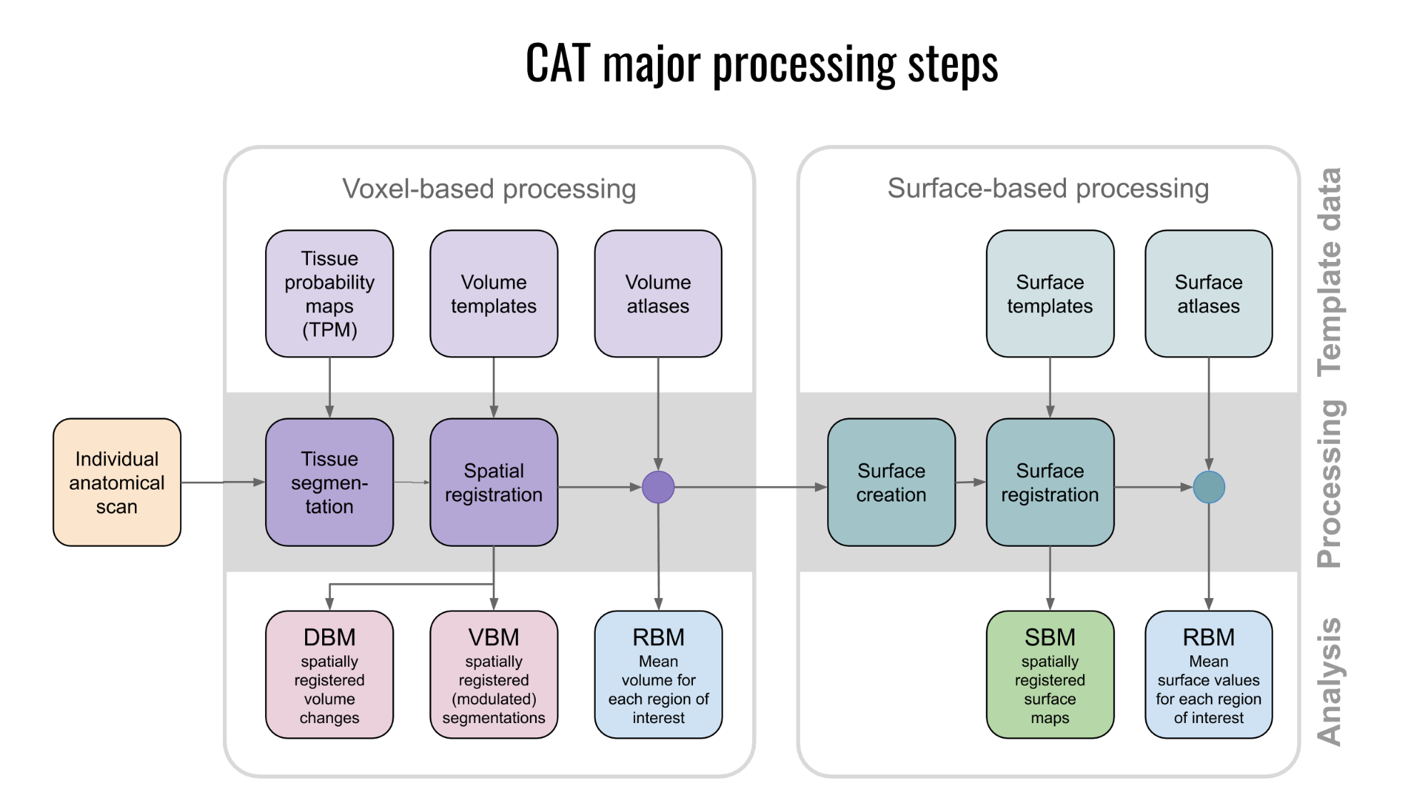 cat_processing_steps